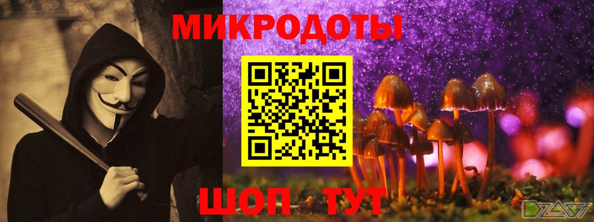 Тула  что такое наркотик  Галлюциногенные грибы GOLDEN TEACHER  Вход с VPN  Псилоцибиновые грибы прущие грибы 