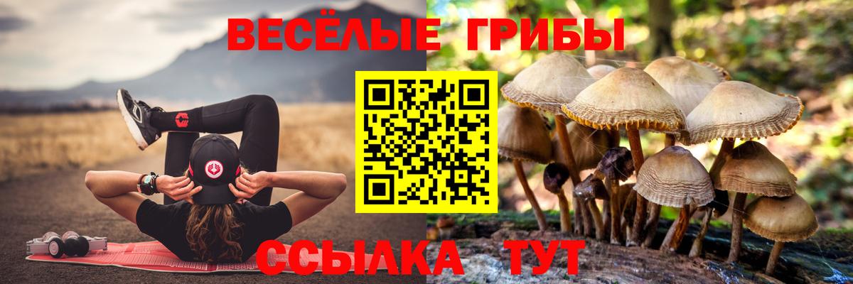 Галлюциногенные грибы мухоморы Тула